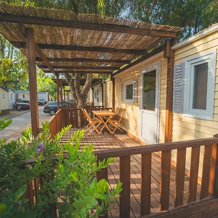 Holacamp Sant Salvador * Coma-ruga