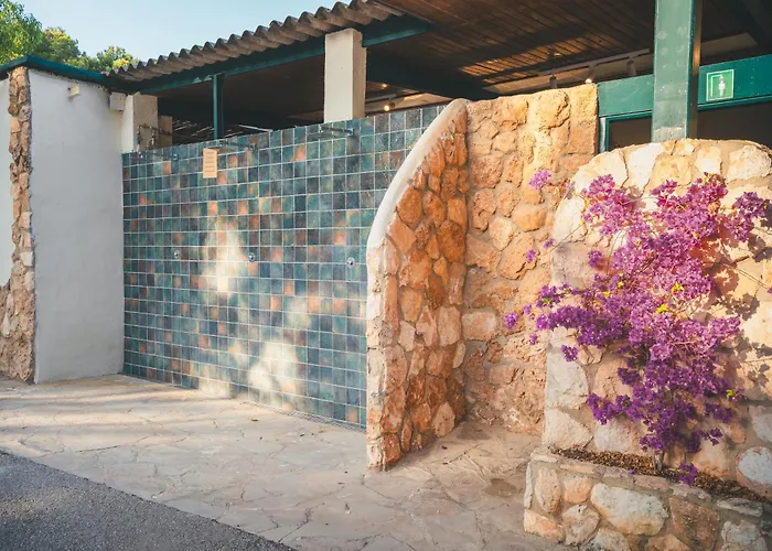 Holacamp Sant Salvador