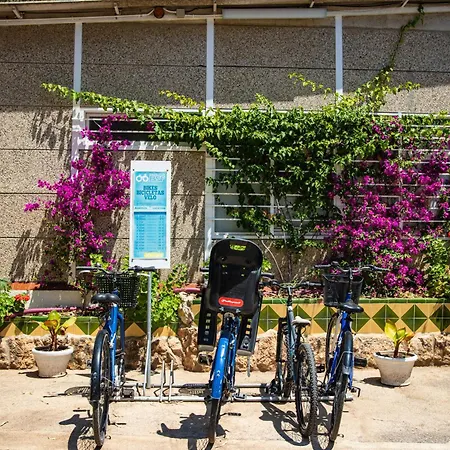 Holacamp Sant Salvador Kamp alanı *
