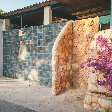 Holacamp Sant Salvador