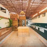 Holacamp Sant Salvador